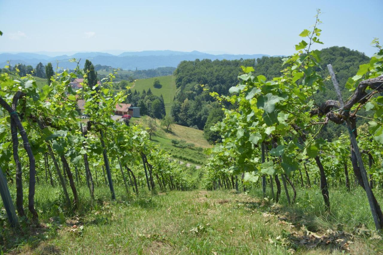 Ferienwohnung Weingut Pugl Josef Leibnitz Exterior foto